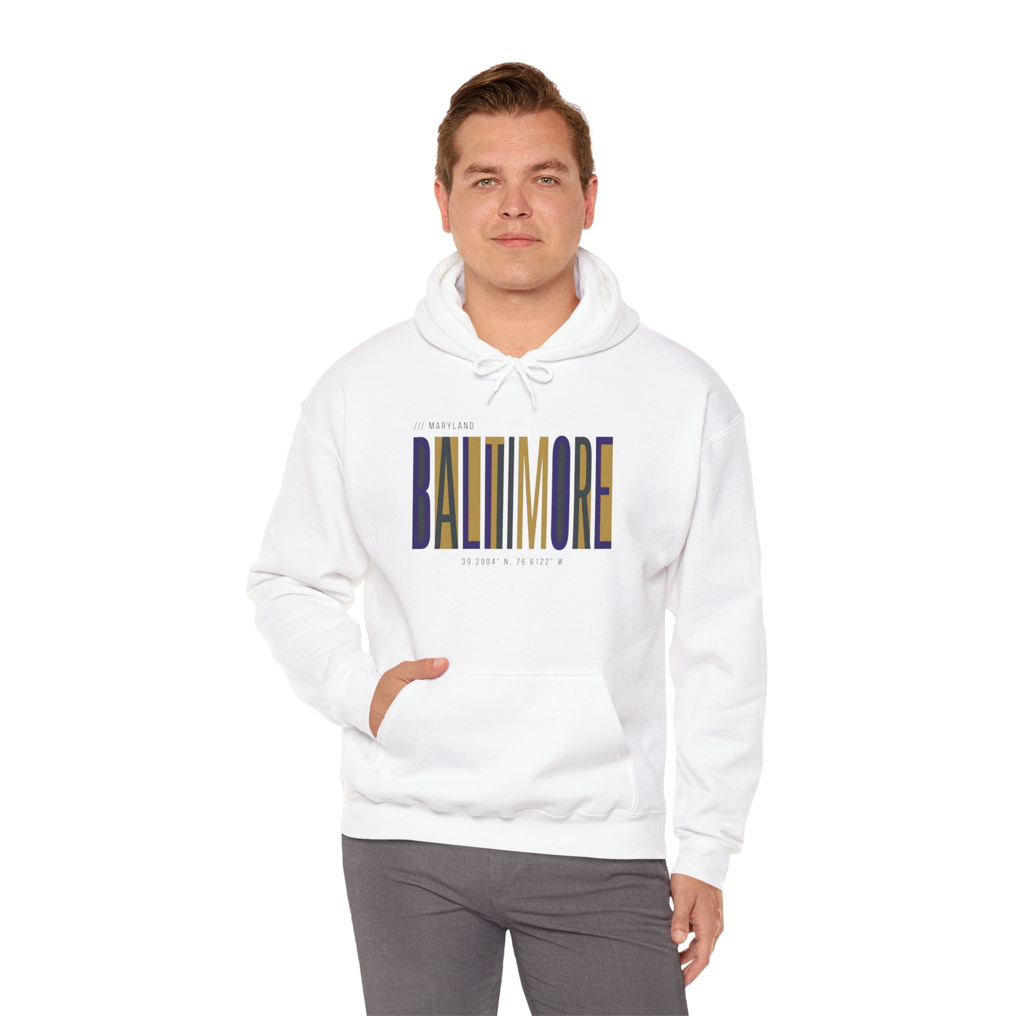 Baltimore Modern Script Hoodie — Vertical City Name Pullover