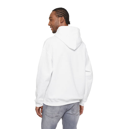 Houston Retro Stripe Hoodie — Vintage City Pride Sweatshirt