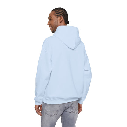 Houston Retro Stripe Hoodie — Vintage City Pride Sweatshirt