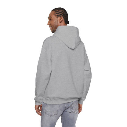 Houston Retro Stripe Hoodie — Vintage City Pride Sweatshirt