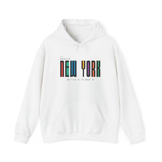 New York Colorblock Hoodie – Retro NYC Typography Pullover
