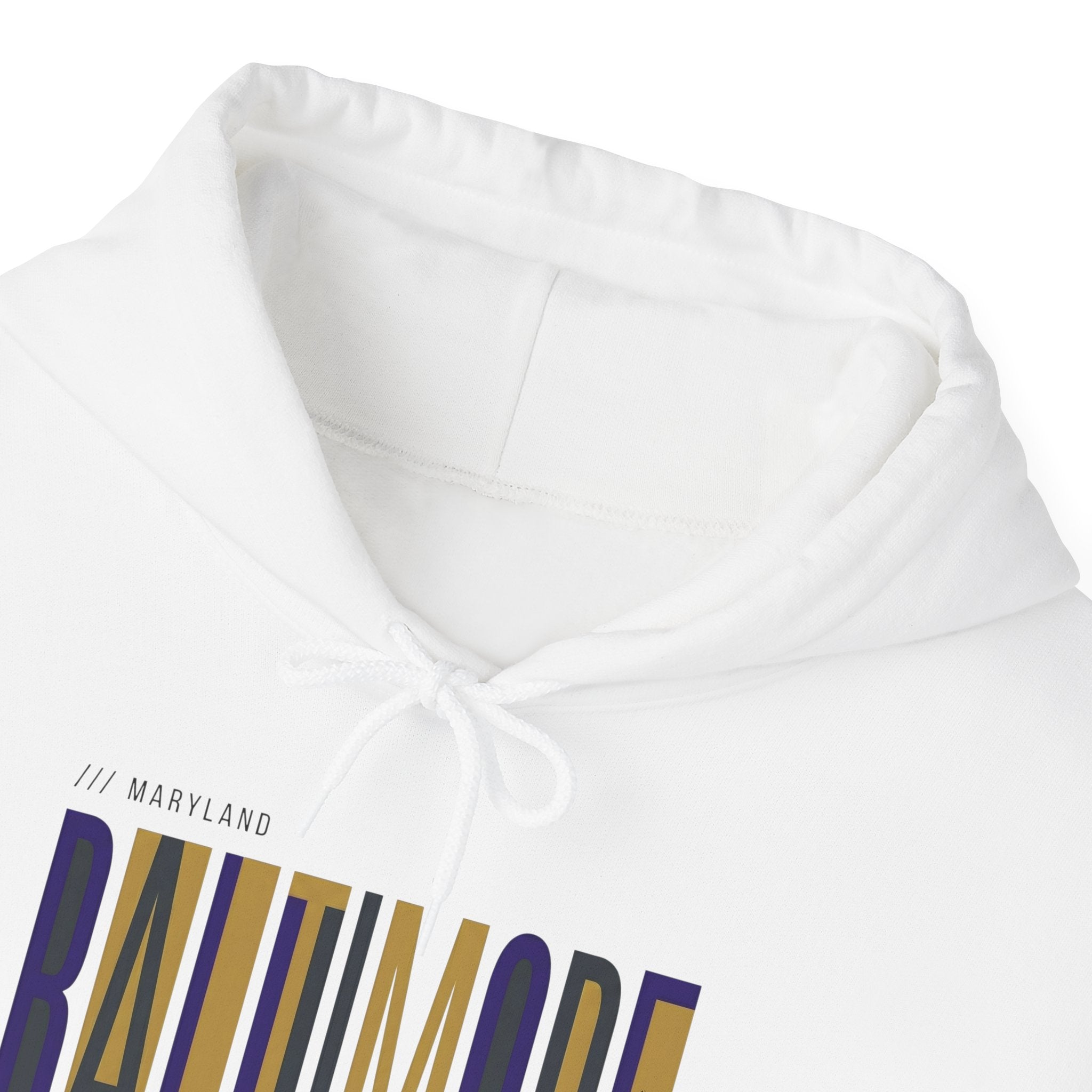 Baltimore Modern Script Hoodie — Vertical City Name Pullover