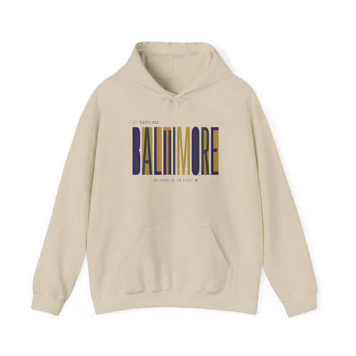 Baltimore Modern Script Hoodie — Vertical City Name Pullover