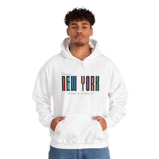 New York Colorblock Hoodie – Retro NYC Typography Pullover