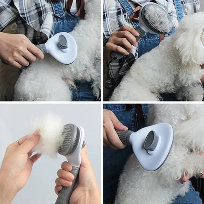 Pet Salon at Home: 2-in-1 Dog and Cat Hair Remover & Grooming Brush