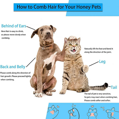 Pet Salon at Home: 2-in-1 Dog and Cat Hair Remover & Grooming Brush